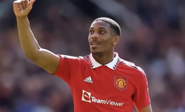 虽然他们花 虽然他们花